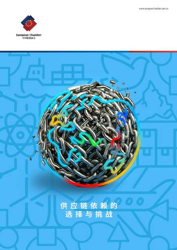 2025供应链依赖的选择与挑战报告.pdf