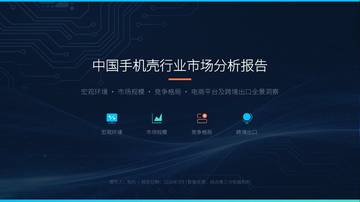 中国手机壳行业市场分析报告.pdf
