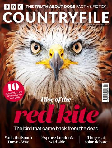 BBC出品：国际学生课外读物 BBC Countryfile 03.2024