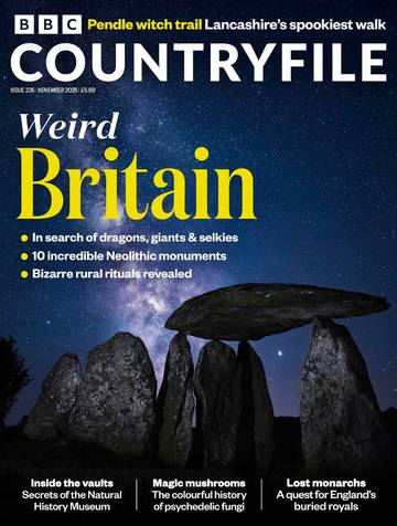BBC出品：国际学生课外读物 BBC Countryfile 11.2025