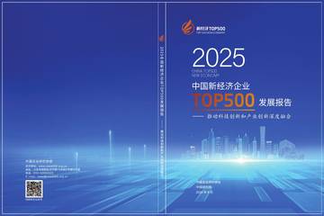 2025中国新经济企业TOP500发展报告.pdf