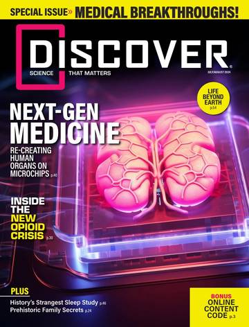 国际学生课外杂志发现Discover 07.08 2024