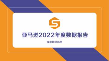 卖家精灵：亚马逊2022年度数据报告.pdf