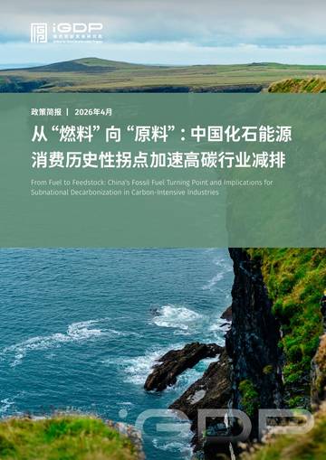 2026从“燃料”向“原料”：中国化石能源消费历史性拐点加速地方高碳行业减排报告.pdf