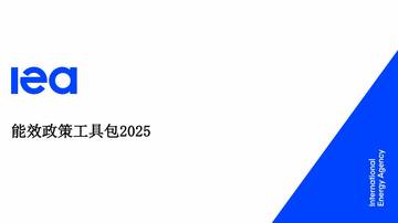能效政策工具包2025.pdf