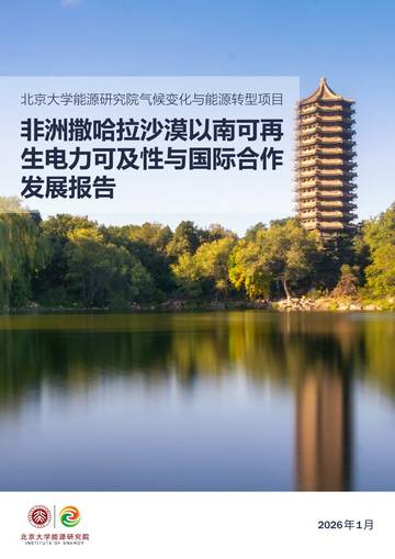 2026非洲撒哈拉沙漠以南可再生电力可及性与国际合作发展报告.pdf