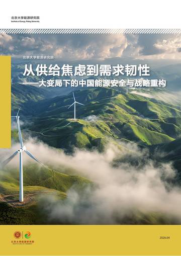 2026年从供给焦虑到需求韧性—大变局下的中国能源安全与战略重构白皮书.pdf