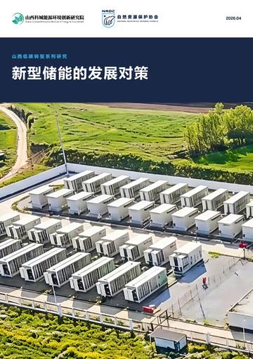新型储能的发展对策.pdf