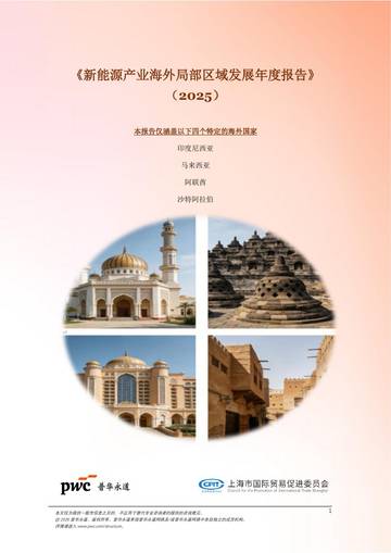 新能源产业海外局部区域发展年度报告2025.pdf