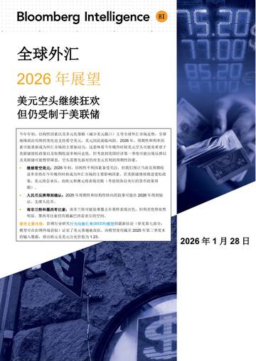 全球外汇2026年展望报告.pdf