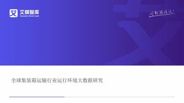 全球集装箱运输行业运行环境大数据研究.pdf