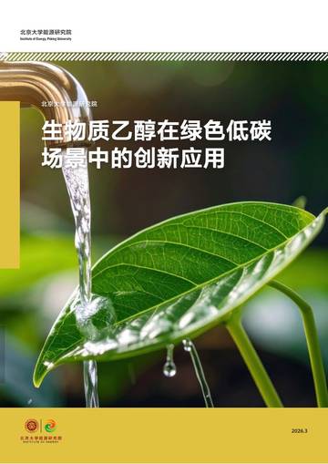 2026生物质乙醇在绿色低碳场景中的创新应用研究报告.pdf