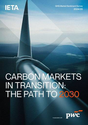 转型中的碳市场：通往2030年之路研究报告（英文）.pdf