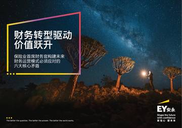 全球保险业首席财务官调研.pdf