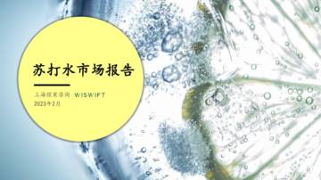 苏打水市场报告-上海煜寒咨询.pdf