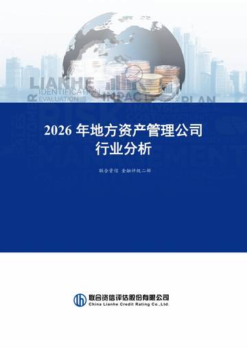 2026年地方资产管理公司行业分析.pdf