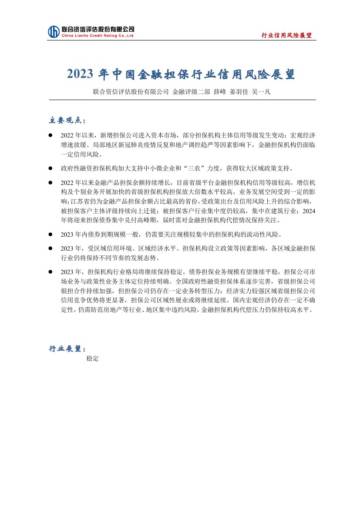 2023年中国金融担保行业信用风险展望.pdf