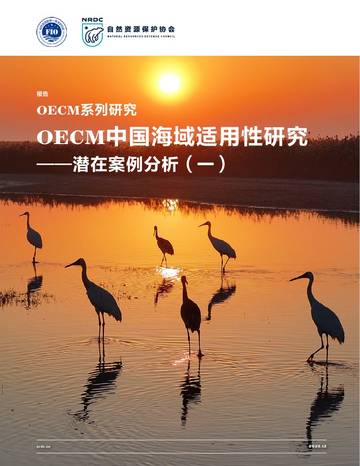 2026年OECM中国海域适用性研究报告-潜在案例分析（一）.pdf