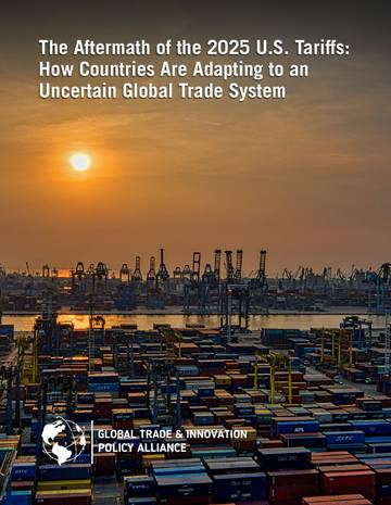 2025年美国关税的后果：各国如何适应不确定的全球贸易体系（英）.pdf