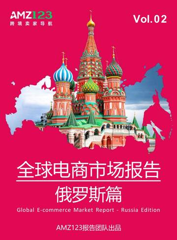 2025全球电商市场报告俄罗斯篇.pdf