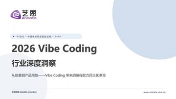 2026年VibeCoding行业深度洞察报告.pdf