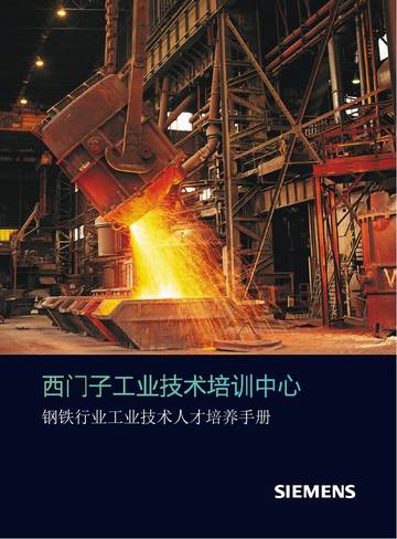 2026钢铁行业工业技术人才培养手册.pdf