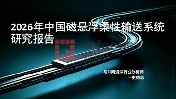 2026年中国磁悬浮柔性输送系统研究报告.pdf