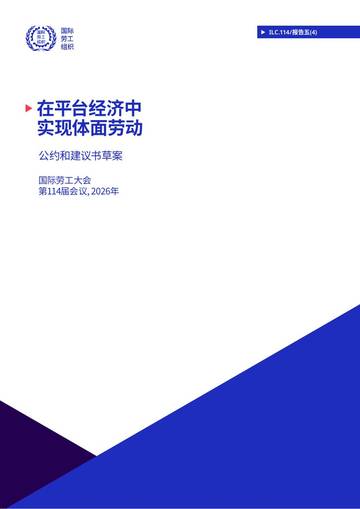 2026在平台经济中实现体面劳动报告.pdf