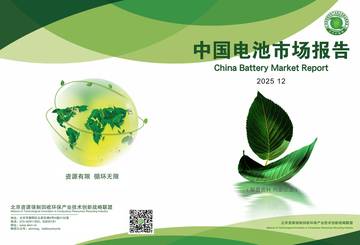 2025年中国电池市场报告.pdf