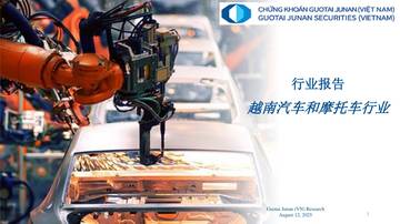 2025越南汽车和摩托车行业报告.pdf