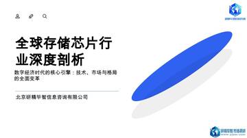 全球存储芯片行业深度剖析-数字经济时代的核心引擎-技术、市场与格局的全面变革.pdf