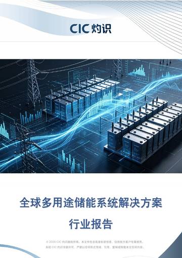 全球多用途储能系统解决方案行业报告.pdf