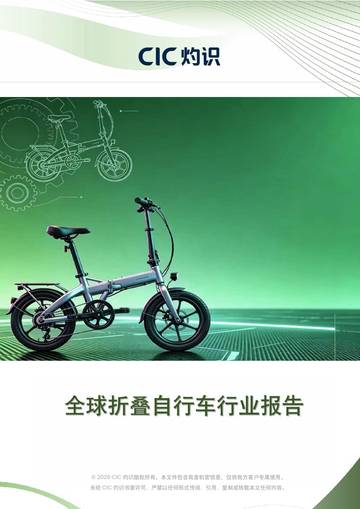 全球折叠自行车行业报告.pdf