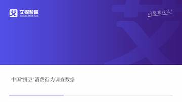 中国“拼豆”消费行为调查数据.pdf