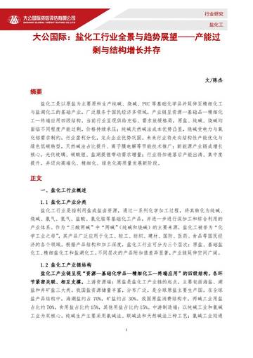 盐化工行业全景与趋势展望：产能过剩与结构增长并存.pdf