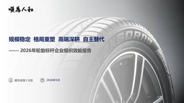2026年轮胎标杆企业组织效能报告.pdf
