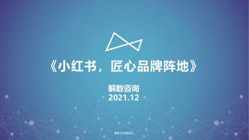解数第111期：《小红书，匠心品牌阵地》.pdf