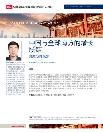 2026中国与全球南方的增长联结回顾与再聚焦.pdf