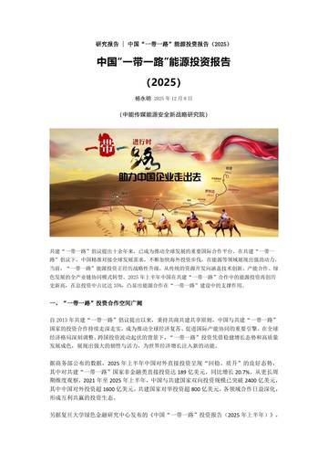 中国一带一路能源投资报告2025.pdf