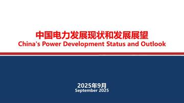 2025中国电力发展现状和发展展望报告.pdf