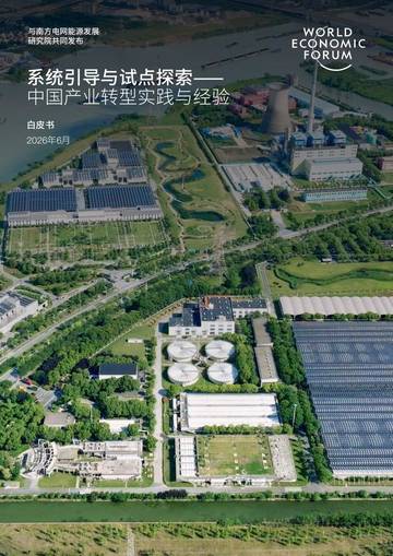2026系统引导与试点探索-中国产业转型实践与经验白皮书.pdf