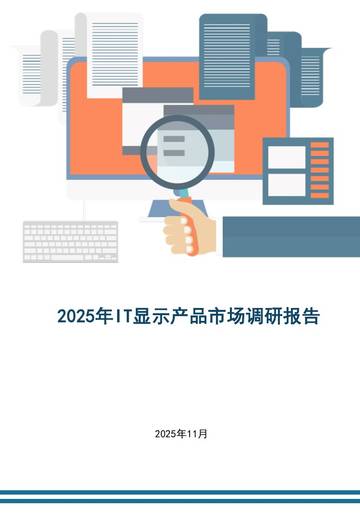 2025年IT显示产品市场调研报告.pdf