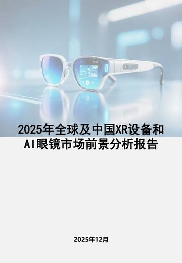 2025年全球及中国XR设备和AI眼镜市场前景分析报告.pdf