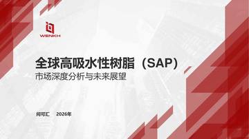 全球高吸水性树脂（SAP）-市场深度分析与未来展望.pdf