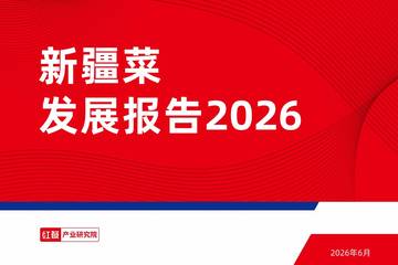 新疆菜发展报告2026.pdf