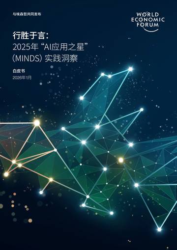行胜于言2025年AI应用之星MINDS实践洞察白皮书.pdf