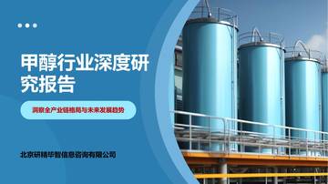 全球甲醇市场调研报告.pdf