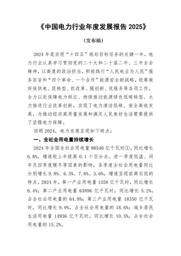 中国电力行业年度发展报告2025.pdf