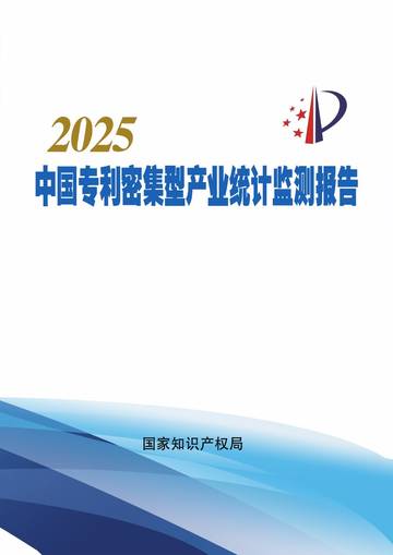 2025中国专利密集型产业统计监测报告.pdf