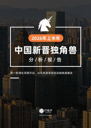 2026年上半年中国新晋独角兽分析报告.pdf